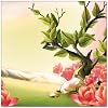 Visit This External Website