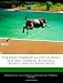 The Unauthorized Guide To Dogs: Western Terriers, Bulldogs, Huskies, And So Much More