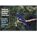 National Audubon Society Pocket Guide to Familiar Birds: Western Region: Western (The Audubon Society Pocket Guides)