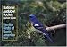National Audubon Society Pocket Guide to Familiar Birds: Western Region: Western (The Audubon Society Pocket Guides)