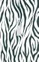 Zebra Veritcal Flame Skin Stripe Print Decorative Switchplate Cover