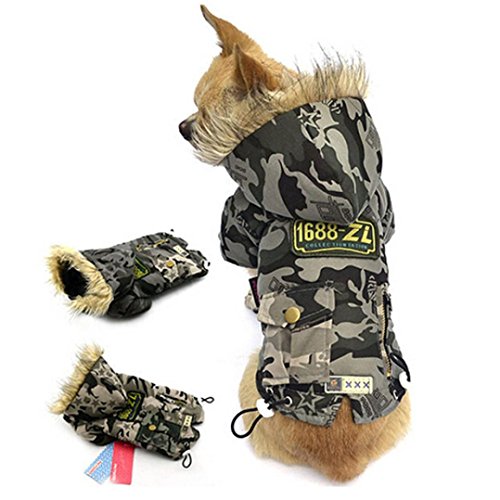 Top Best 5 winter cat jacket for sale 2016 BOOMSbeat