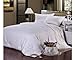Soft Silker Silk Comforter 100% All Natural National Standard Long Mulberry Silk Duvet Queen (Most Wished &Gift Ideas)