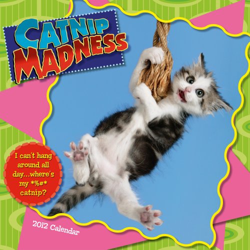 Buy Catnip Madness 2012 Wall (calendar) 141628737X