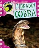 A deadly cobra