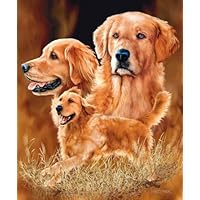 New Signature Collection Queen Size Golden Retriever Korean Mink Blanket