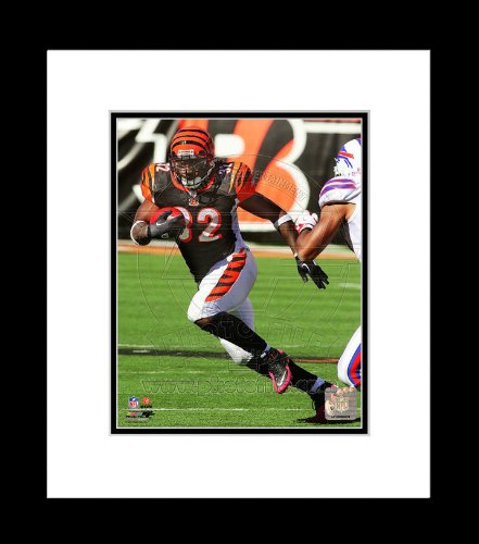 Cincinnati Bengals Cedric Benson 2011 Action Framed Picture 8x10