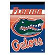 Florida Gators NCAA Vertical Flag (27x37) by Wincraft