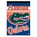 Florida Gators NCAA Vertical Flag (27x37) by Wincraft