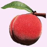 peach flavor extract