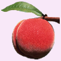peach flavor extract - 2 fl oz