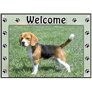 Beagle Welcome Sign