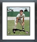 Al Kaline Detroit Tigers Framed Picture 8x10