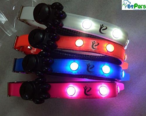 Empowered Living LED Dog Safety Collar, Orange