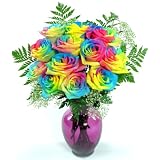 Rainbow Roses