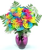 Rainbow Roses