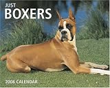 Just Boxers 2008 Calendar (Just)