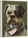 16 Inch Box Canvas (40cm) DOG AND FLOWER BASKET by Mary Evans