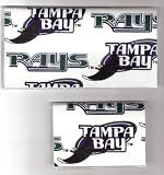 Checkbook Cover Debit Set MLB Tampa Bay Rays