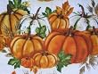 Autumn Harvest Pumpkin Halloween Robert Kaufman Fabric Yard