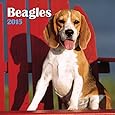 Avalanche January to December, 12 x 24 Inches, Perfect Timing Beagles 2015 Wall Calendar (7001604)