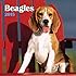 Avalanche January to December, 12 x 24 Inches, Perfect Timing Beagles 2015 Wall Calendar (7001604)