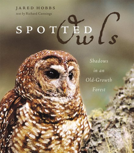 Spotted Owls: Shadows in an Old-Growth Forest (Greystone Nature Greystone Nature)