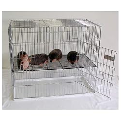 Precision Pet Puppy Pen with 1/2-Inch Mesh Floor 48 x 48 x 30", Chrome