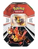 Pokemon Fall Holiday Christmas Tin (Black and White)
(tin chosen at random)