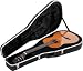 Gator Cases Deluxe ABS Classical Guitar Case (Plastic)