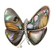 Silvertone Abalone and Crystal Butterfly Brooch Pin
