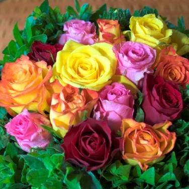 Assorted Roses with 16 inch stems (250 stems)