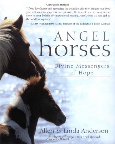 Angel Horses