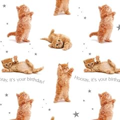 Big Hug - Gift Wrap & Tags (2+2)