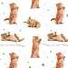 Big Hug - Gift Wrap & Tags (2+2)