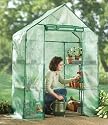 Compact Walk - in Greenhouse