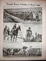 1917 WW1 Ships Wind-Jammers Australian Soldiers Camels
