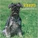 schnauzer34 - Schnauzers 2010 Wall Calendar