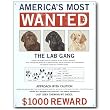 Nostalgic Humor Tin Sign : Americas Most Wanted The Lab Gang