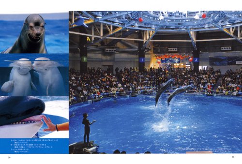 Cover image : 水族館で遊ぶ   全国水族館ガイド 104館完全紹介