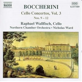Cello Concerto in C major, G. 573: II. Largo cantabile