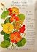 Nasturtium Tall Climbing Single Seeds