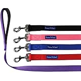 Strong Durable Dog Leash Lead - Black 6' Foot (L) x 1/2" Inch (W) , by Downtown Pet Supply