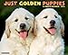 Just Golden Puppies 2015 Wall Calendar