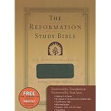 The Reformation Study Bible - Leather-Like Gray ~ R. C. Sproul