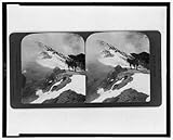 51I%2B92GX8FL. SL160 