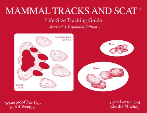 Tracks