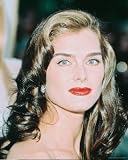 Brooke Shields , 8x10