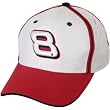 Dale Earnhardt Jr Cap - Dale Earnhardt Jr. White Line Youth Cap