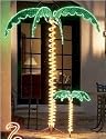 7' Tropical Lighted Holographic Rope Light Outdoor Palm Tree